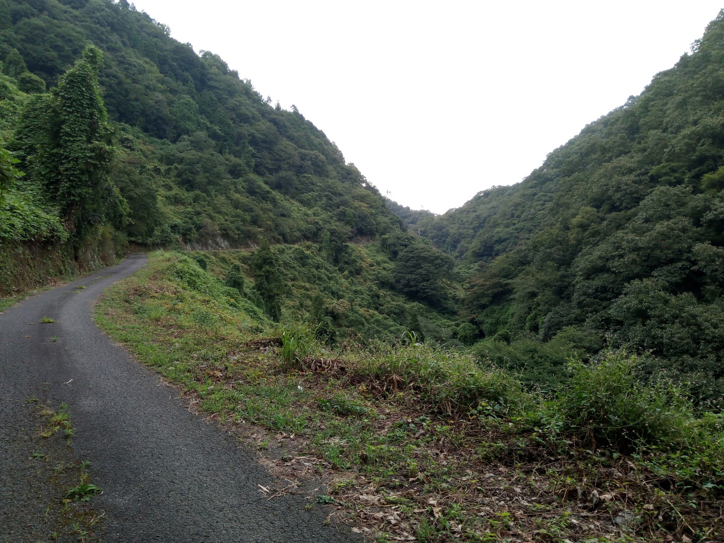 過去作品_img_6aa4e3a93cdc79.72351683