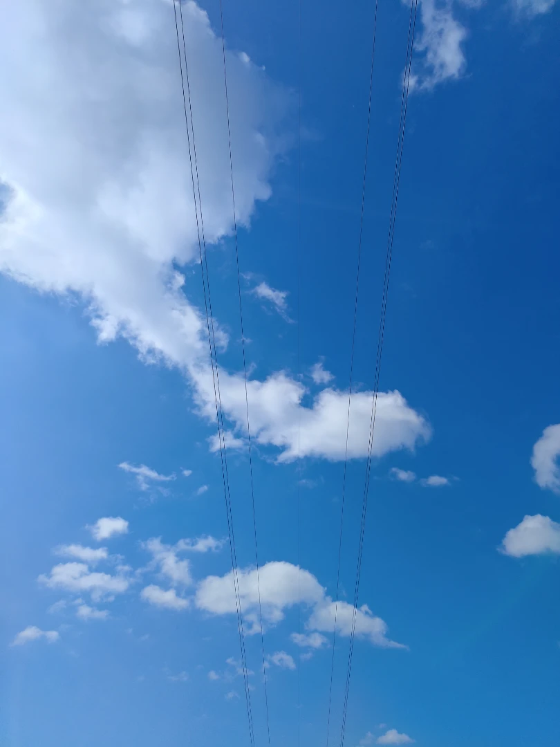 電線